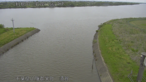 tonsu2026043009_image