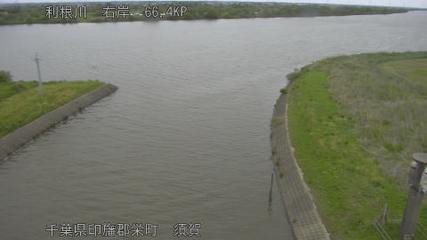 tonsu2026043011_image