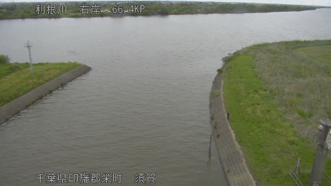 tonsu2026043012_image