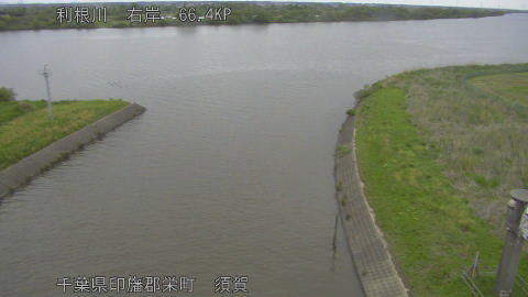 tonsu2026043013_image