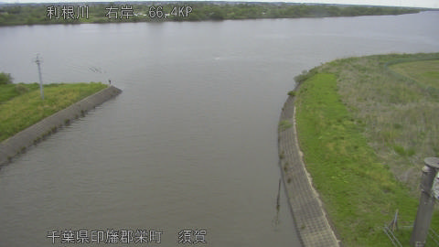 tonsu2026043014_image