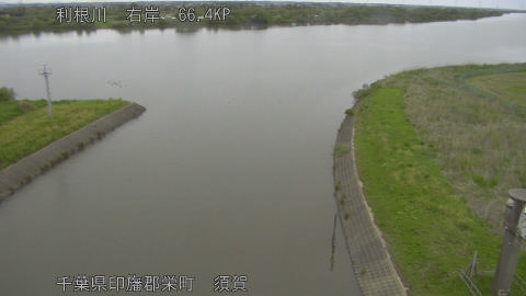 tonsu2026043017_image