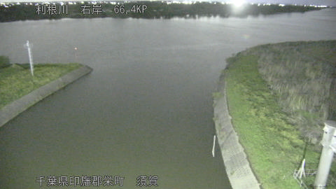 tonsu2026043020_image