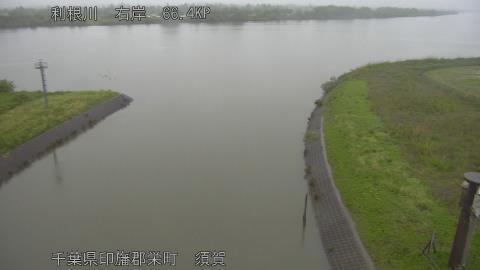 tonsu2026050106_image