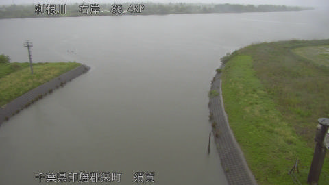 tonsu2026050109_image