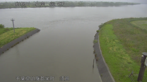 tonsu2026050113_image