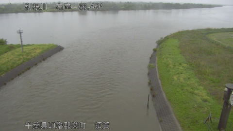tonsu2026050114_image