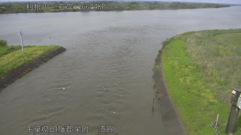 tonsu2026050115_image