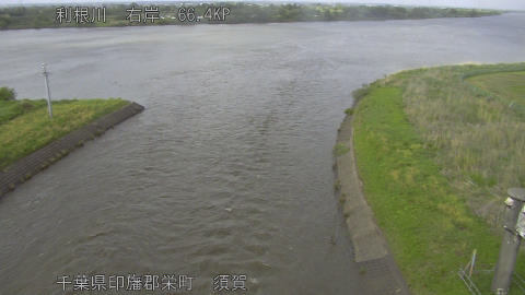tonsu2026050116_image