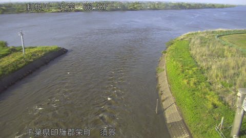 tonsu2026050117_image