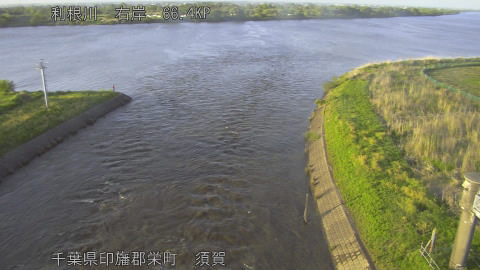 tonsu2026050118_image