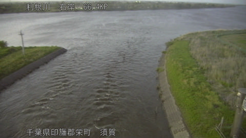 tonsu2026050119_image