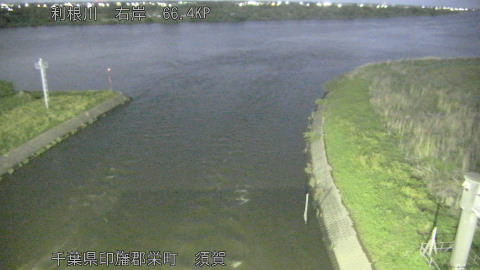 tonsu2026050202_image
