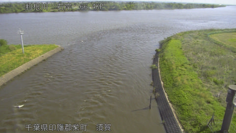 tonsu2026050208_image