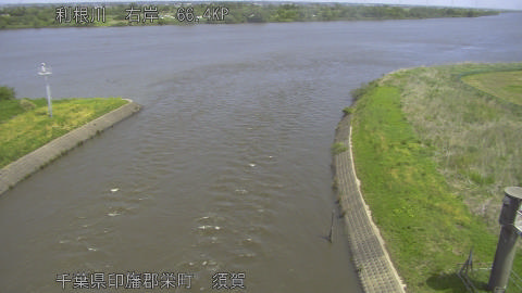tonsu2026050211_image