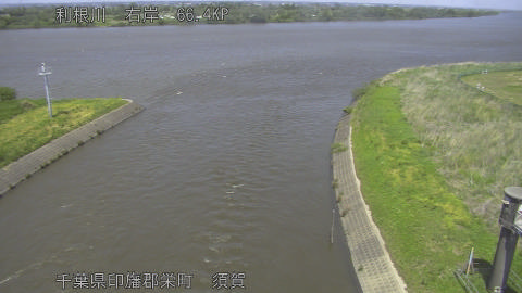 tonsu2026050213_image
