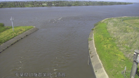 tonsu2026050214_image