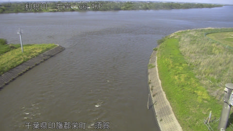 tonsu2026050215_image