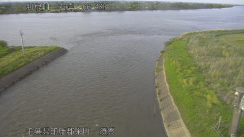 tonsu2026050217_image