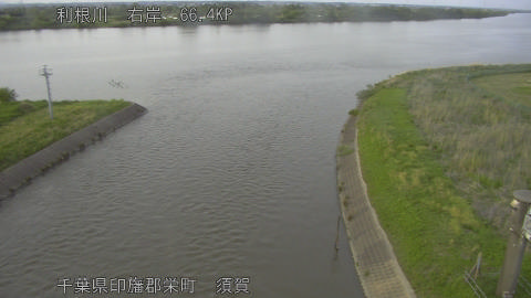tonsu2026050218_image