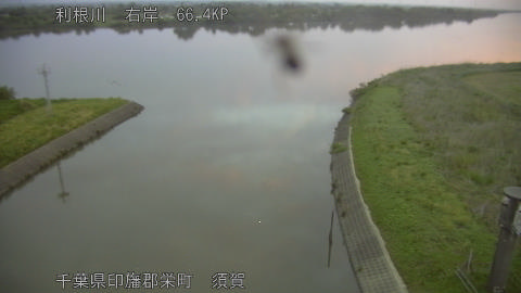 tonsu2026050305_image