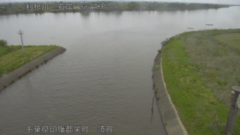 tonsu2026050312_image