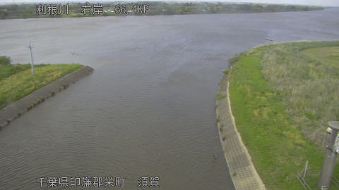 tonsu2026050315_image