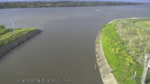 tonsu2026050317_image
