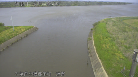 tonsu2026050318_image
