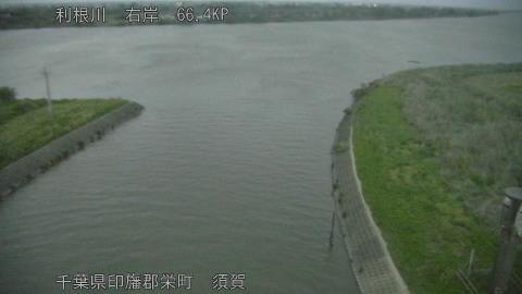 tonsu2026050319_image