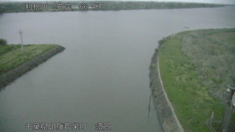 tonsu2026050405_image
