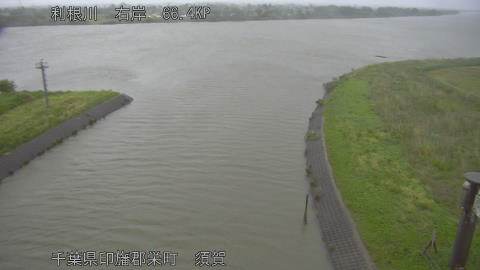 tonsu2026050406_image