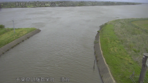 tonsu2026050409_image
