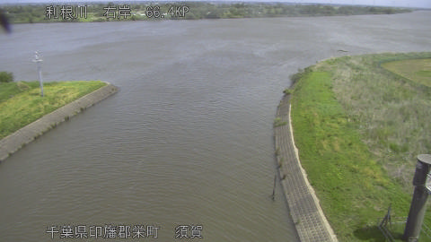 tonsu2026050411_image