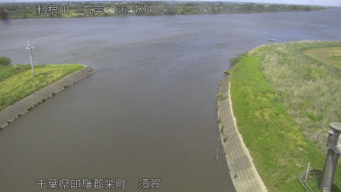 tonsu2026050413_image