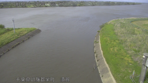 tonsu2026050415_image