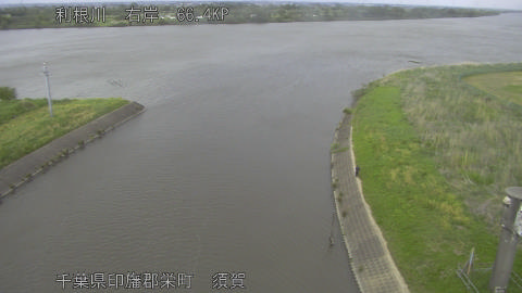 tonsu2026050416_image
