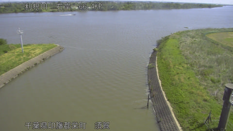 tonsu2026050509_image