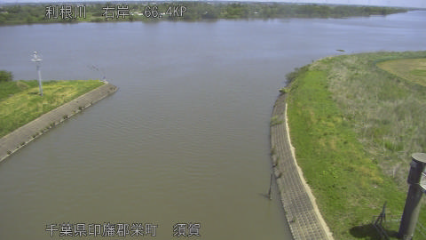 tonsu2026050511_image