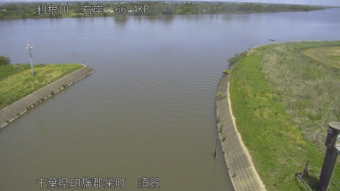tonsu2026050512_image