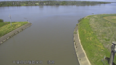 tonsu2026050513_image