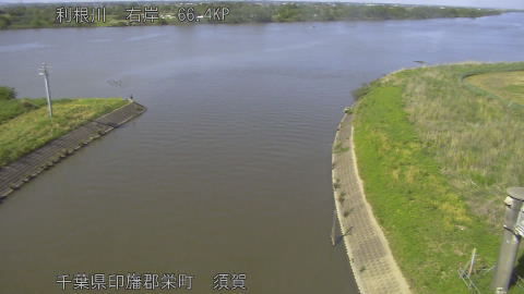 tonsu2026050515_image