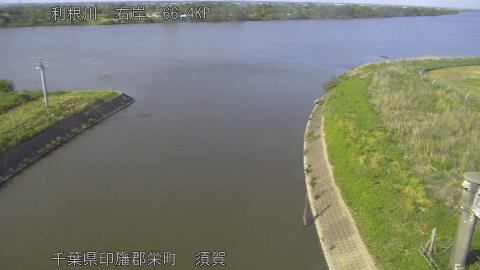 tonsu2026050516_image