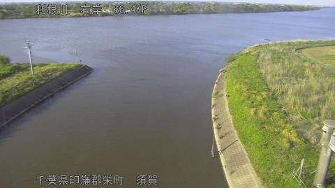 tonsu2026050517_image