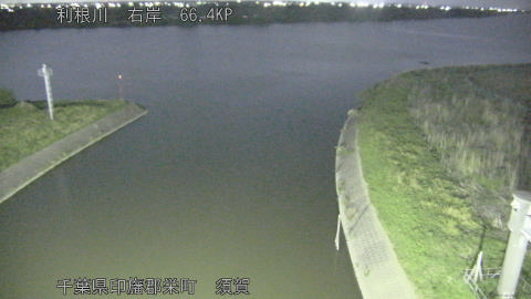 tonsu2026050520_image