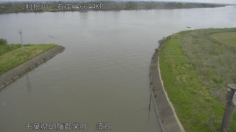 tonsu2026050608_image