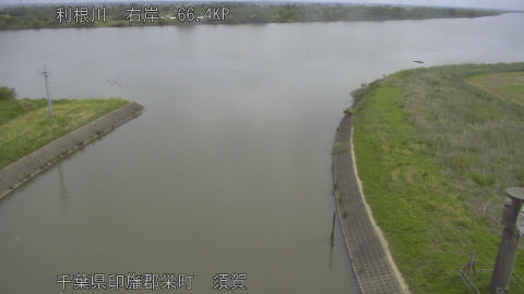 tonsu2026050609_image