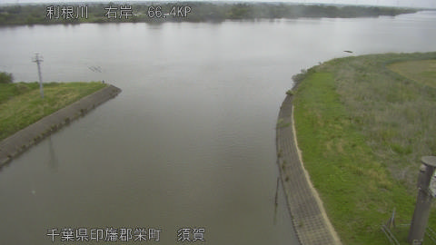 tonsu2026050611_image