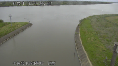 tonsu2026050614_image