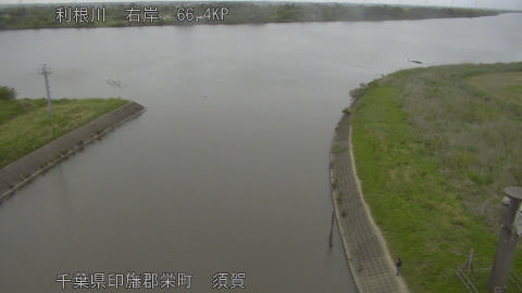 tonsu2026050618_image